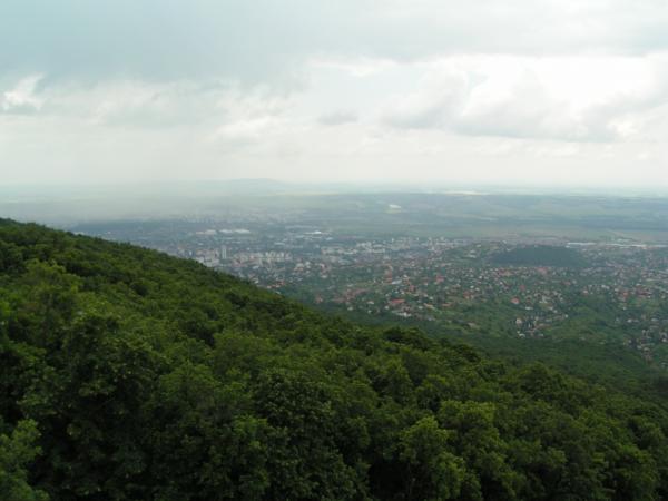 PICT0853 (web)